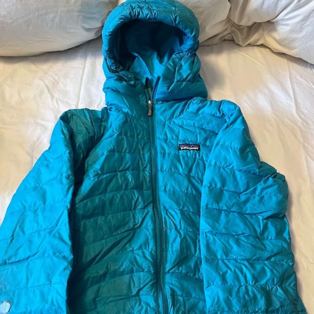 Patagonia Blue Hooded Puffy Jacket - S